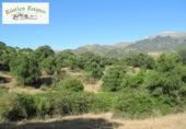 Non-developable land for sale in Cortes de la Frontera ref: TR110118 photo