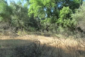 Cortes de la Frontera 75018&nbsp;m² 