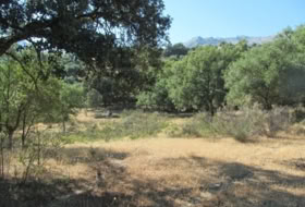 Cortes de la Frontera 75018&nbsp;m² 