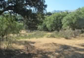 Non-developable land for sale in Cortes de la Frontera ref: TR110118 photo