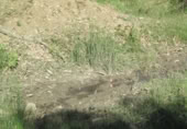 Non-developable land for sale in Cortes de la Frontera ref: TR110118 photo