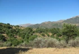 Cortes de la Frontera 75018&nbsp;m² 