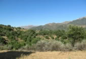 Non-developable land for sale in Cortes de la Frontera ref: TR110118 photo