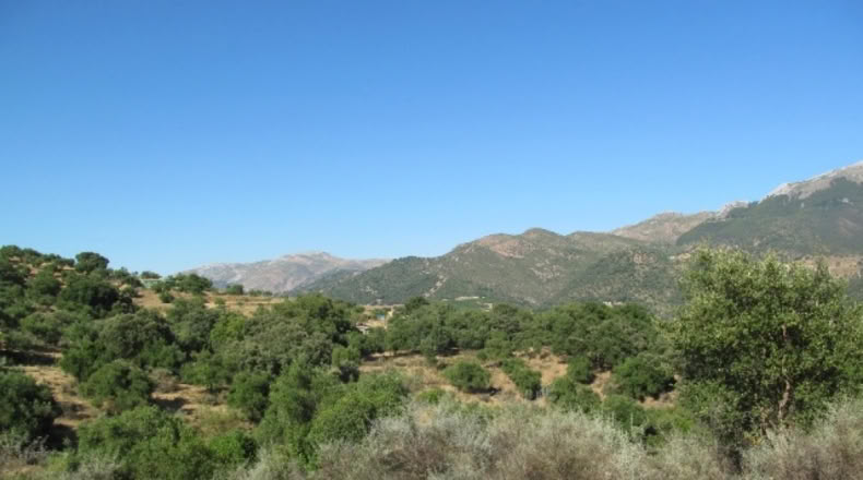 Malaga - Cortes de la Frontera - 75018m2
