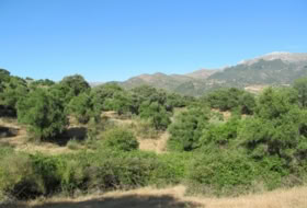 Cortes de la Frontera 75018&nbsp;m² 