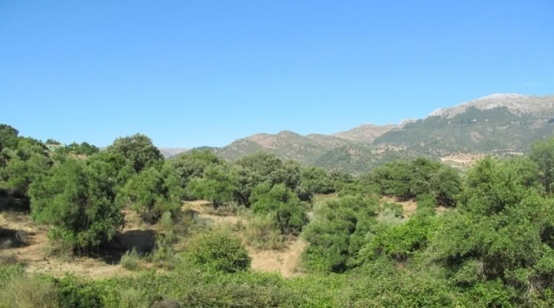 Malaga - Cortes de la Frontera - 75018m2