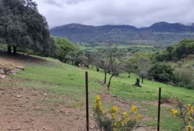 Cortes de la Frontera 75018&nbsp;m² 