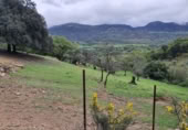 Non-developable land for sale in Cortes de la Frontera ref: TR110118 photo