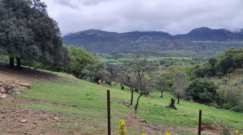 Malaga - Cortes de la Frontera - 75018m2