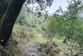Cortes de la Frontera 75018&nbsp;m² 
