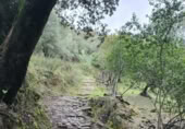 Non-developable land for sale in Cortes de la Frontera ref: TR110118 photo