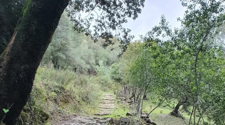 Malaga - Cortes de la Frontera - 75018m2