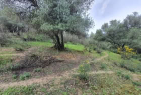Cortes de la Frontera 75018&nbsp;m² 
