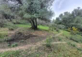 Non-developable land for sale in Cortes de la Frontera ref: TR110118 photo