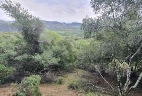 Cortes de la Frontera 75018&nbsp;m² 
