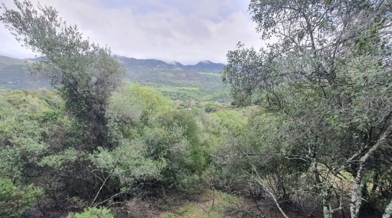 Malaga - Cortes de la Frontera - 75018m2