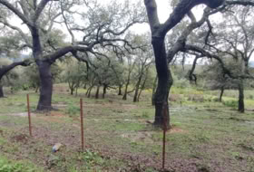 Cortes de la Frontera 75018&nbsp;m² 