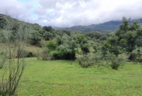 Cortes de la Frontera 75018&nbsp;m² 