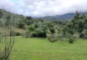 Non-developable land for sale in Cortes de la Frontera ref: TR110118 photo