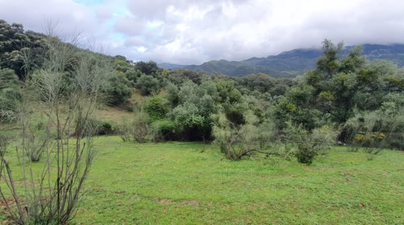 Malaga - Cortes de la Frontera - 75018m2