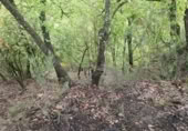 Non-developable land for sale in Cortes de la Frontera ref: TR110118 photo