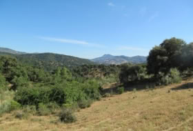 Cortes de la Frontera 75018&nbsp;m² 