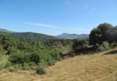 Non-developable land for sale in Cortes de la Frontera ref: TR110118 photo