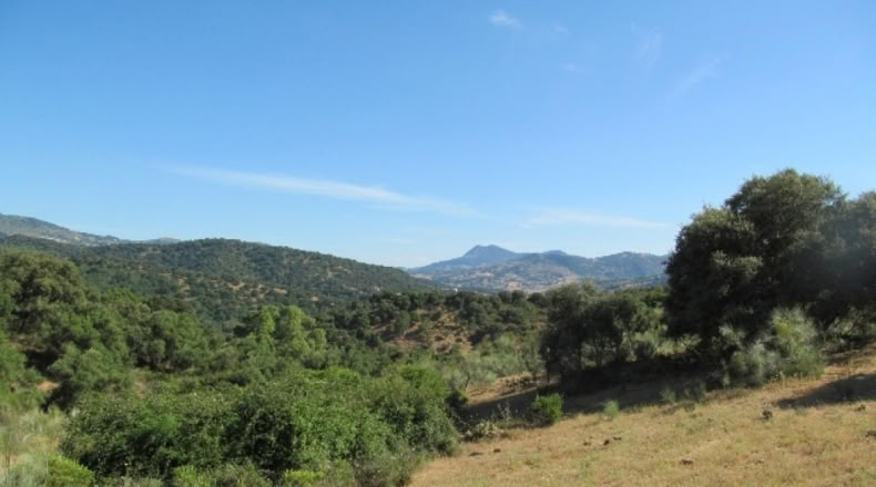Malaga - Cortes de la Frontera - 75018m2