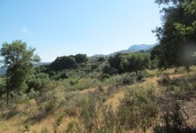 Cortes de la Frontera 75018&nbsp;m² 