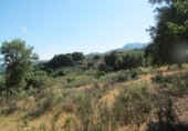 Non-developable land for sale in Cortes de la Frontera ref: TR110118 photo