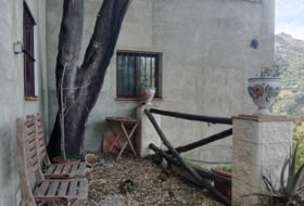 Foto 15