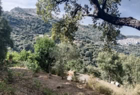 Foto 17