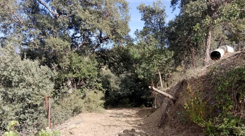 Malaga - Algatocín - 20000m2