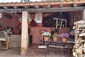 Foto 15