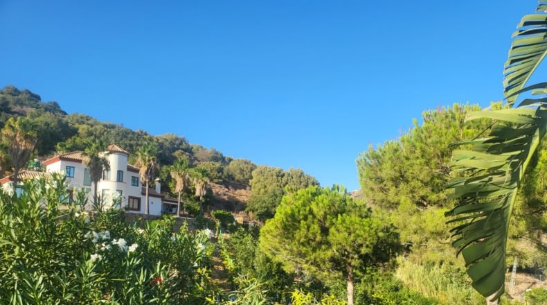Málaga - Estepona - 5000m2