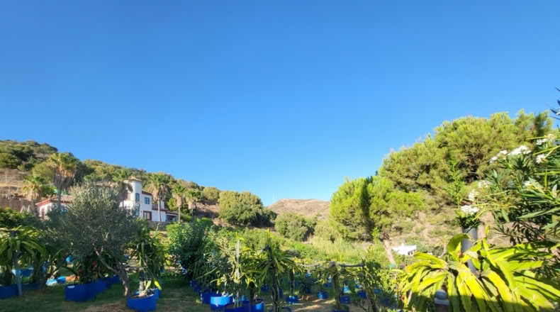 Málaga - Estepona - 5000m2