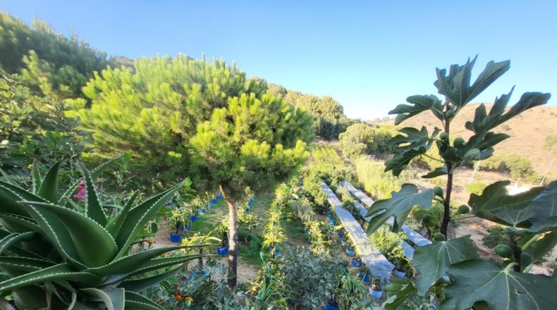 Málaga - Estepona - 5000m2