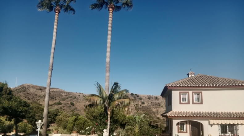 Málaga - Estepona - 5000m2