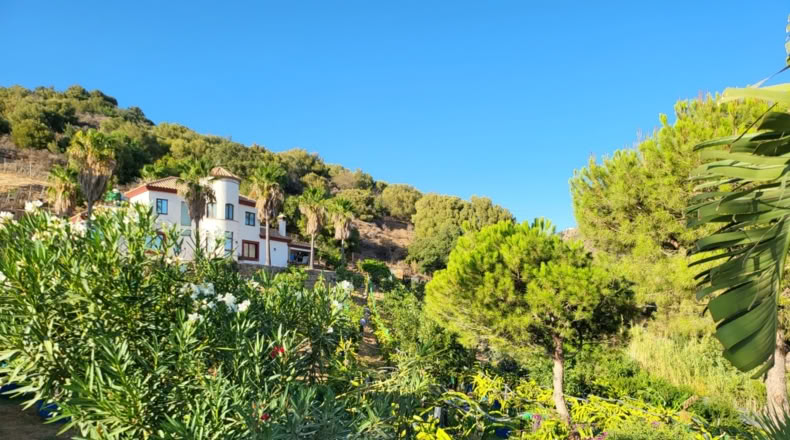 Málaga - Estepona - 5000m2