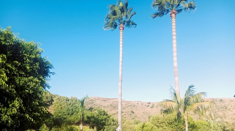 Málaga - Estepona - 5000m2