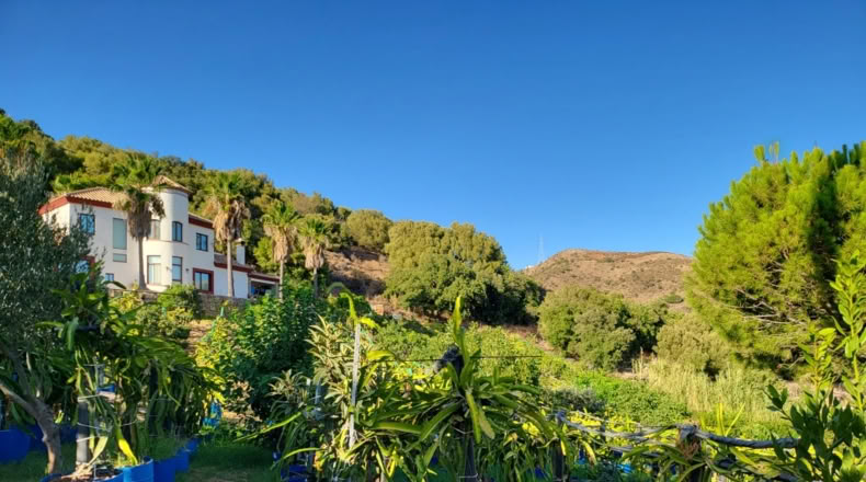 Málaga - Estepona - 5000m2