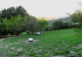 Masia amb terreny en venda a Gaucín ref.: TR224942 foto