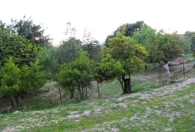 Gaucín 220000&nbsp;m²