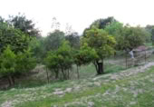 Masia amb terreny en venda a Gaucín ref.: TR224942 foto