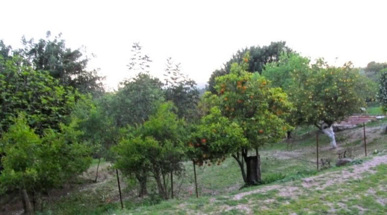 Málaga - Gaucín - 220000m2