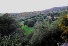 Gaucín 220000&nbsp;m²