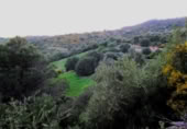 Masia amb terreny en venda a Gaucín ref.: TR224942 foto