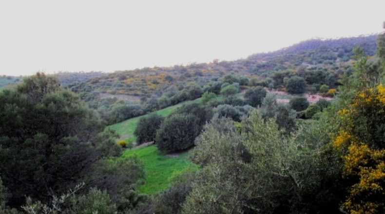 Málaga - Gaucín - 220000m2