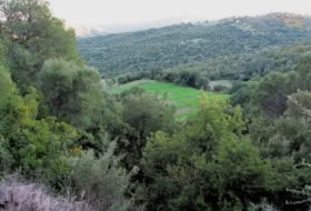 Gaucín 220000&nbsp;m²
