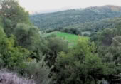 Masia amb terreny en venda a Gaucín ref.: TR224942 foto